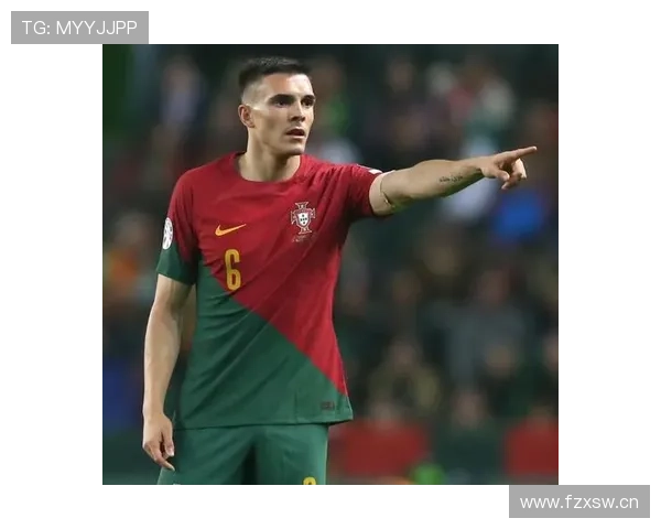葡萄牙国家队主力后腰：帕利尼亚的国家队地位